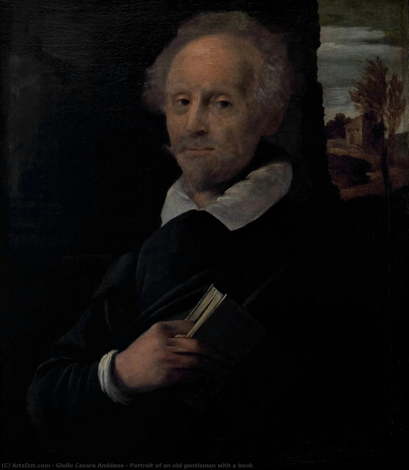 Ritratto di un vecchio signore con un libro